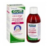 GUM BAIN DE BOUCHE GINGIDEX