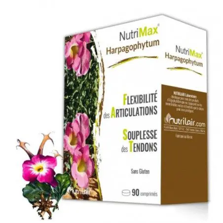NUTRIMAX HARPAGOPHYTUM 90 COMPRIMÉS – Image 1