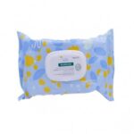 KLORANE LINGETTES EPAISSES NETTOYANTES (BOITE DE 70)